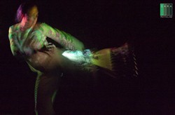 Travesty Dance Group