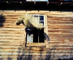 Open Window Dance Company in DanceWorks 09 (photo credit: Brad Phalin)