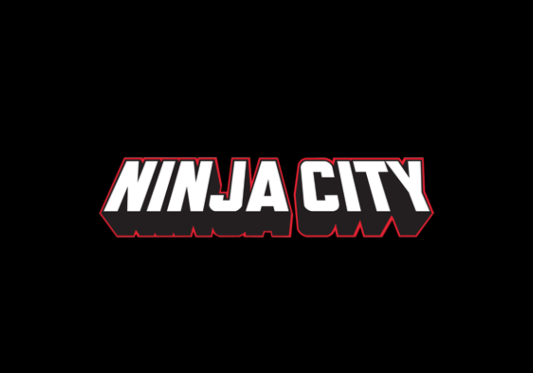 Ninja City sized for website